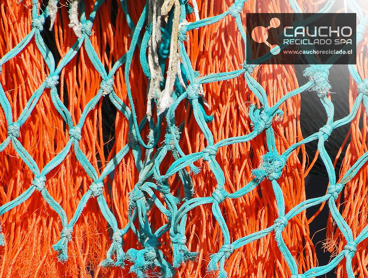 Mallas de Cobre para Salmonicultura: Innovación Sostenible en la Industria Acuícola