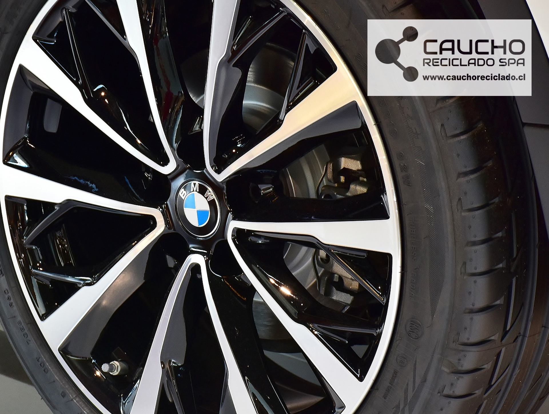 BMW Revoluciona la Industria con Neumáticos Ecológicos Certificados FSC