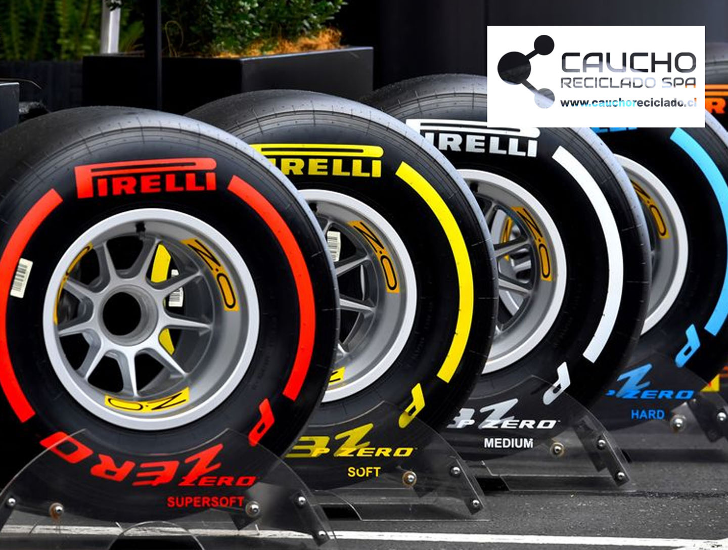 Pirelli P Zero: El Primer Neumático del Mundo con Certificación FSC