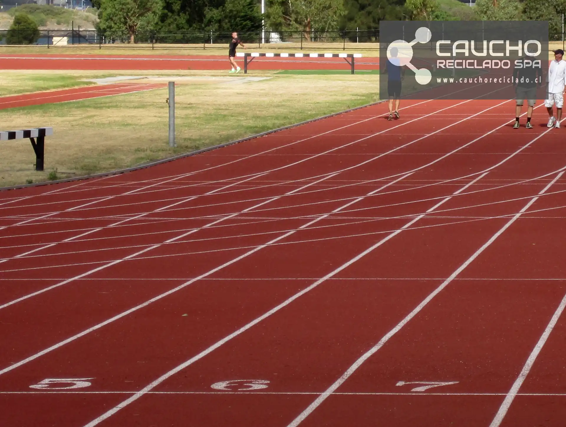 Mulch de Caucho Reciclado para Pistas de Atletismo: Rendimiento y Seguridad